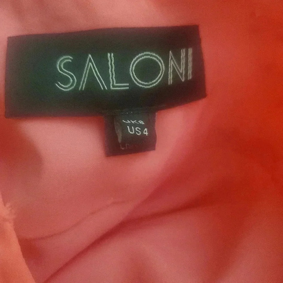 SALONI RUFFLE DRESS - Picture 4 of 5